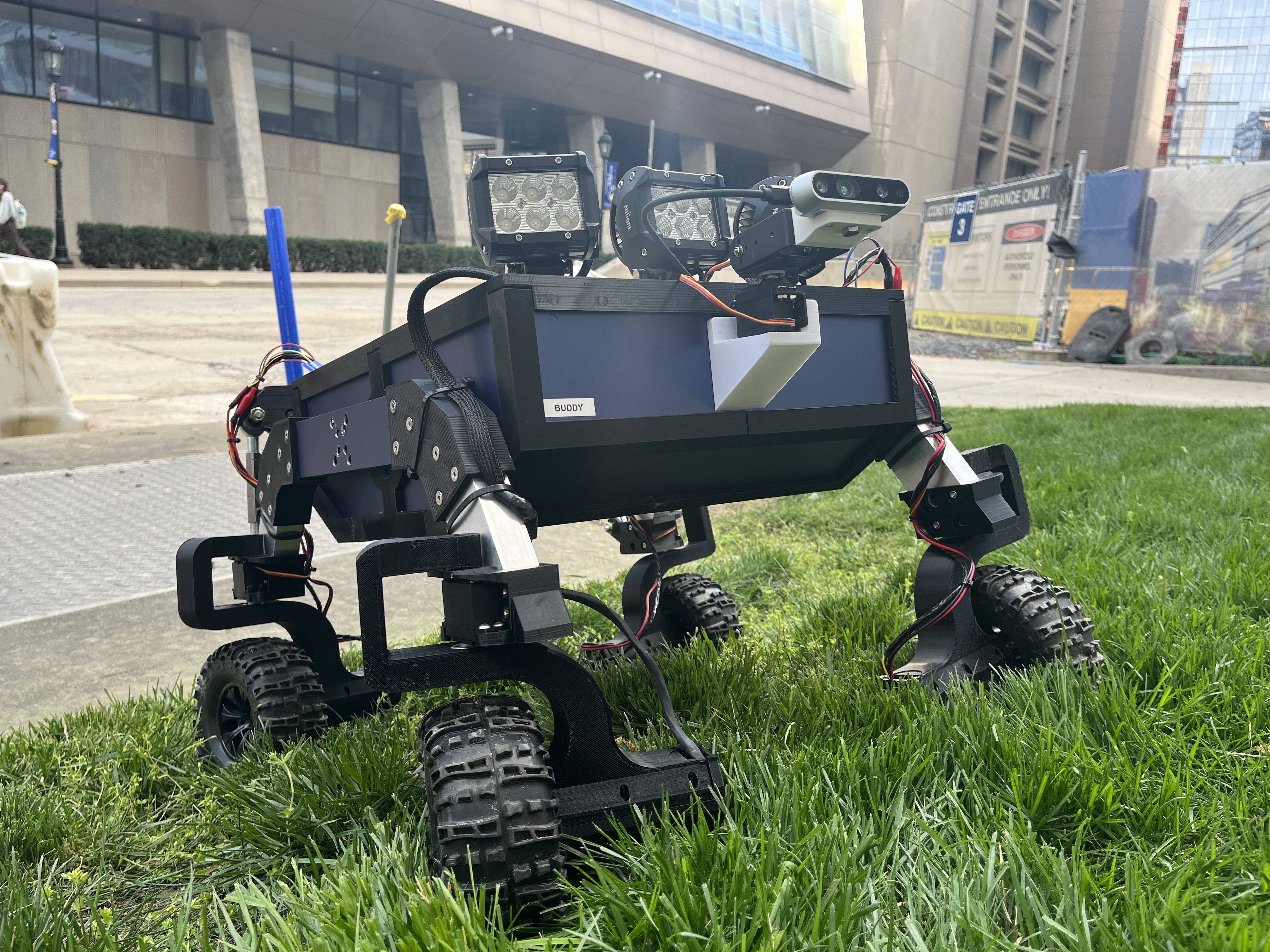 Buddy the Rover